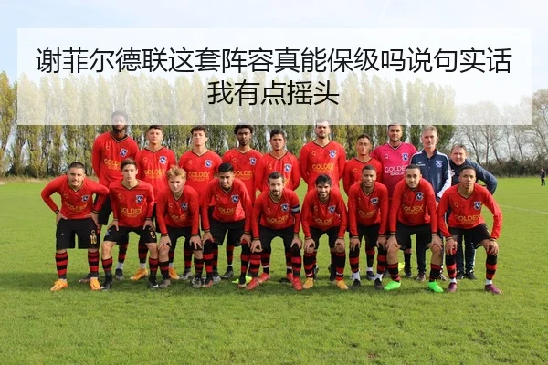 谢菲尔德联这套阵容真能保级吗说句实话我有点摇头