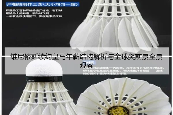 维尼修斯续约皇马年薪结构解析与金球奖前景全景观察