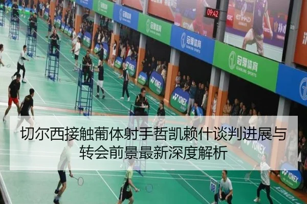 切尔西接触葡体射手哲凯赖什谈判进展与转会前景最新深度解析