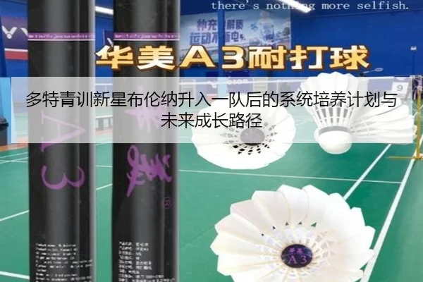 多特青训新星布伦纳升入一队后的系统培养计划与未来成长路径